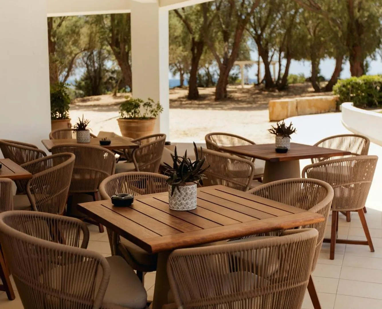 Melissi Beach Hotel & Spa Ajia Napa